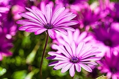 未来游戏展：《白日梦魇：沙堡1994》实机预告